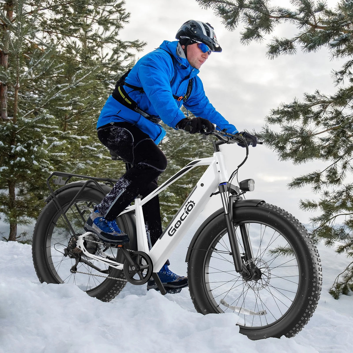 Gocio Electric Bike, 26"x4.0" Fat Tire E-Mountain Bike, Peak 1000W Motor, 28MPH 48V 15Ah Battery Removable Ebike for off Road, Sand, UL2849
