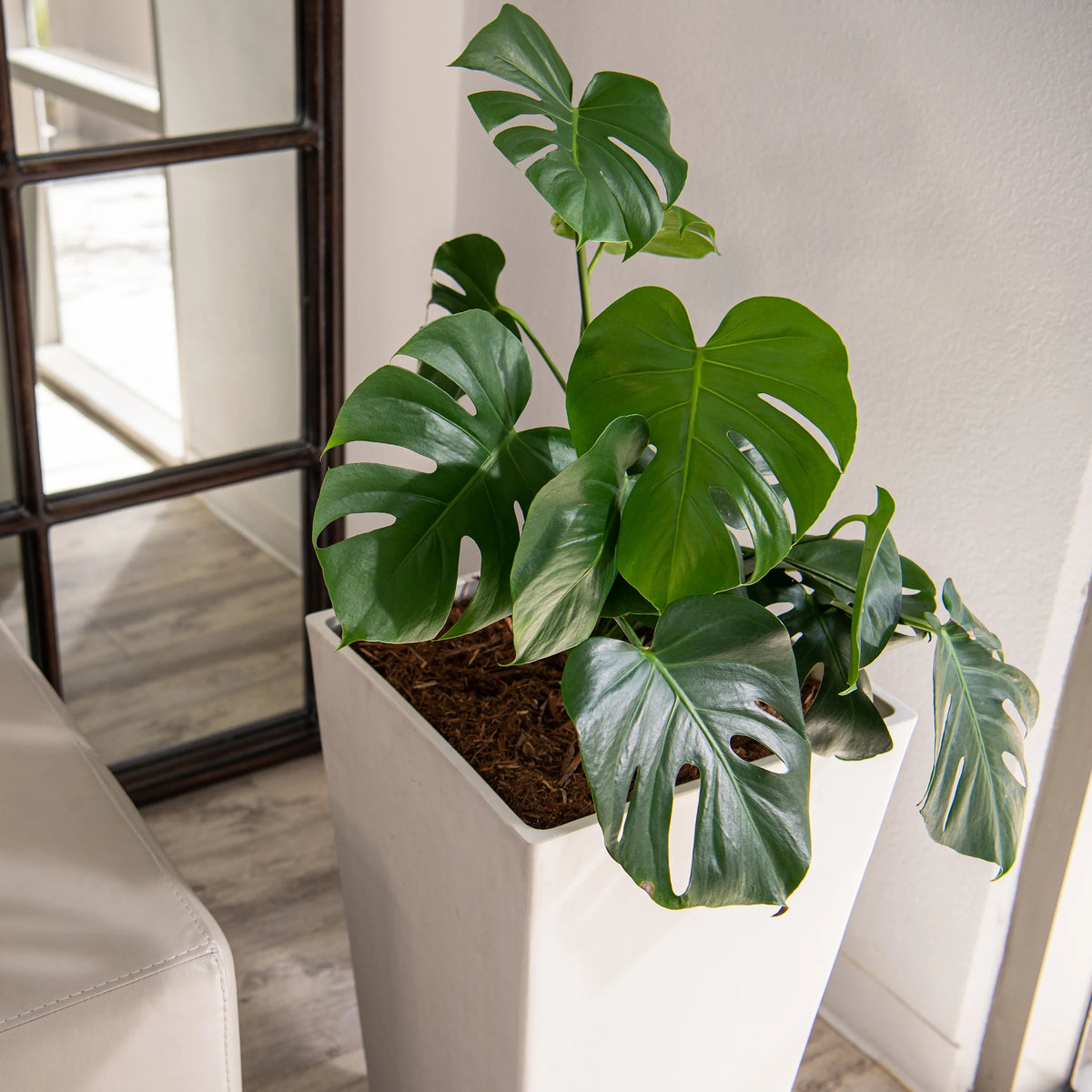 XBrand Modern 30-Inch Tall Square Planter, Modern Tapered Planter Perfect for Indoor & Outdoor Planter, Patio Décor, Black
