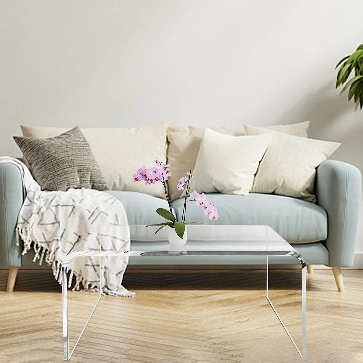 Ageszoe Coffee Table with Storage Shelf ,Acrylic Modern Clear End Table,Kid's Table for Livingroom, 32"L x 16"W x 16"H"
