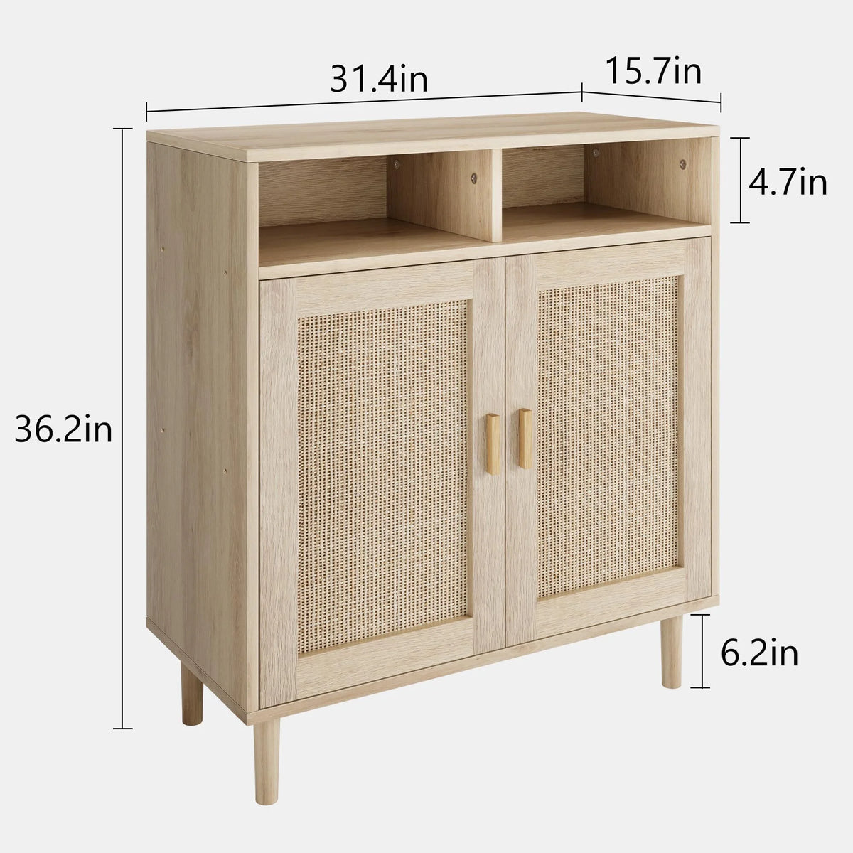 NEILA Rattan Cabinet with 2 Doors and Shelf, Modern Accent Furniture, 1 Piece