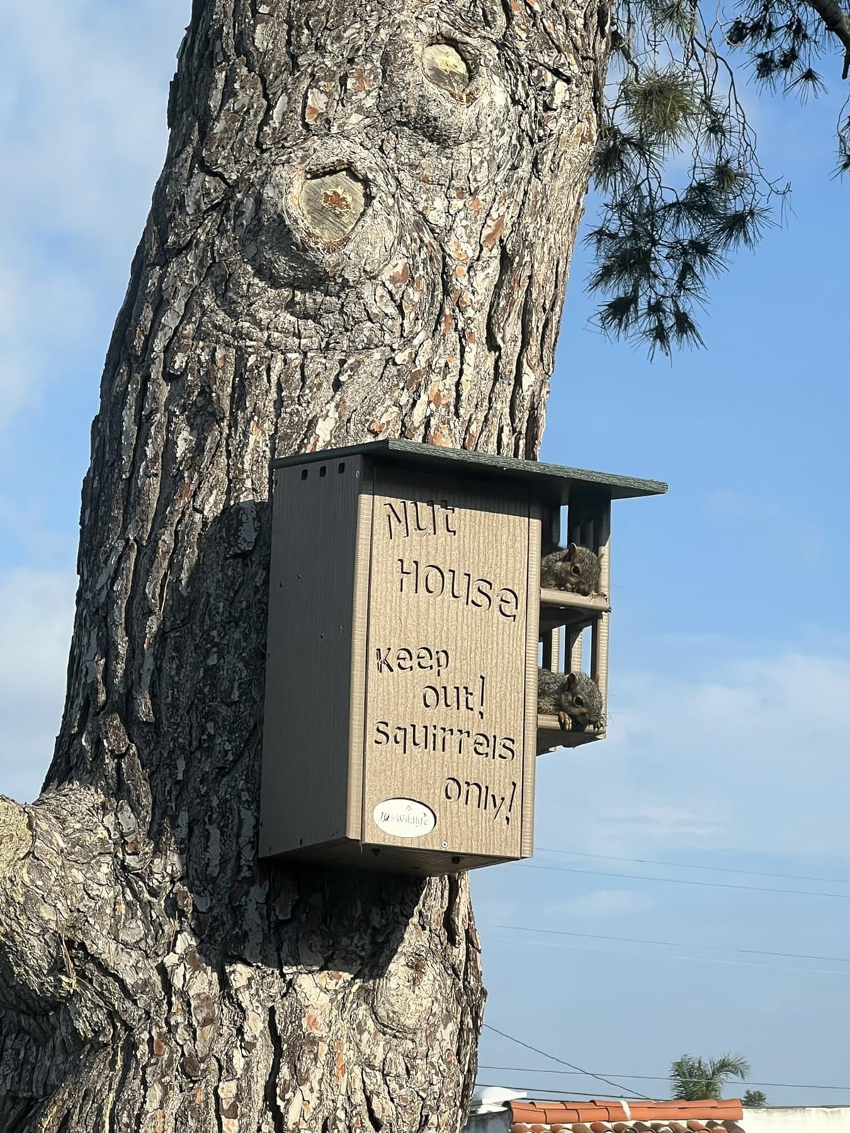 JCs Wildlife Ultimate Squirrel House Nesting Box (Blue/Gray) - A Perfect Home for Squirrels!