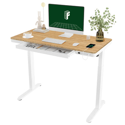 FLEXISPOT 48" W Home Office Height Adjustable Standing Desk White and Maple with USB Charge Ports and Embedded Drawer