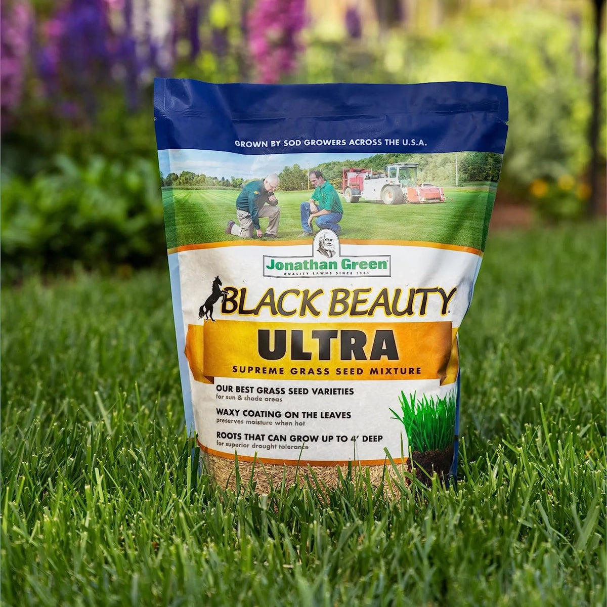 Jonathan Green 10323 Black Beauty Ultra Grass Seed Mix, 25 Pounds