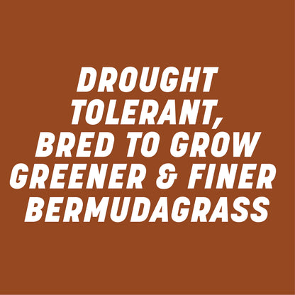 Pennington Sahara II Bermudagrass Penkoted Grass Seed 25 lb, Full Sun, Heat Tolerant