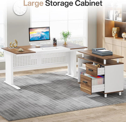Tribesigns 63 Inch Executive Desk with File Cabinet, Large Office Desk L Shaped Computer Desk with Drawers and Storage Shelves, Business Furniture Desk Workstation for Home Office, Brown and Black