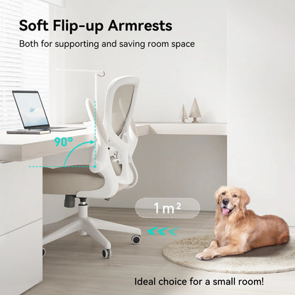 Hbada Office Chair, Ergonomic Desk Chair, Computer Mesh Chair with Lumbar Support and Flip-up Arms, Gray