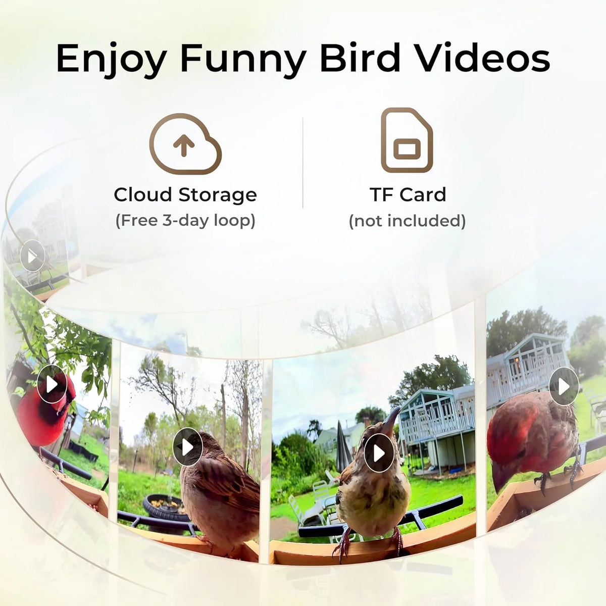 TT Nature Bird Feeder with Camera, AI Identify 10,000+ Species, Auto Capture, Real-Time Notifications, Upgraded for Bird Watching with Solar Panel, Perfect Gift for Bird Lovers