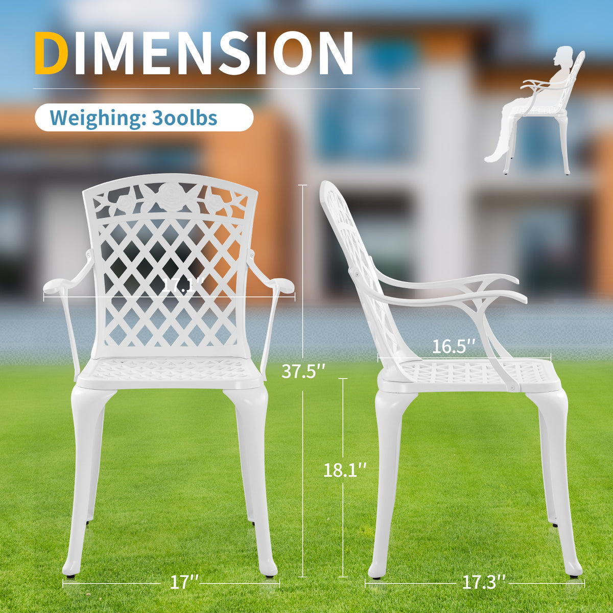 Withniture  Cast Aluminum Patio Furniture Outdoor Chairs Patio Bistro Chair Set of 2 with Armrest, Metal Chair for Garden, White