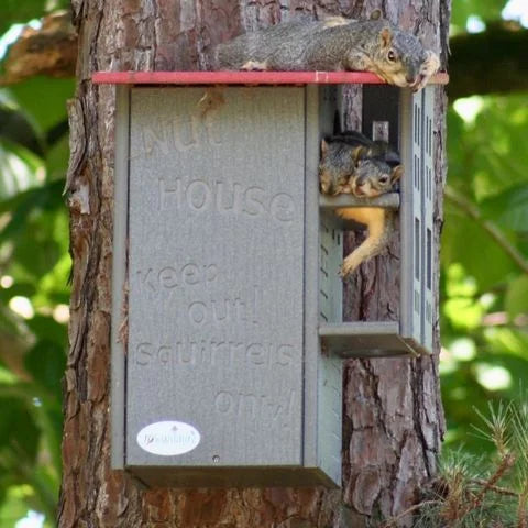 JCs Wildlife Ultimate Squirrel House Nesting Box (Blue/Gray) - A Perfect Home for Squirrels!