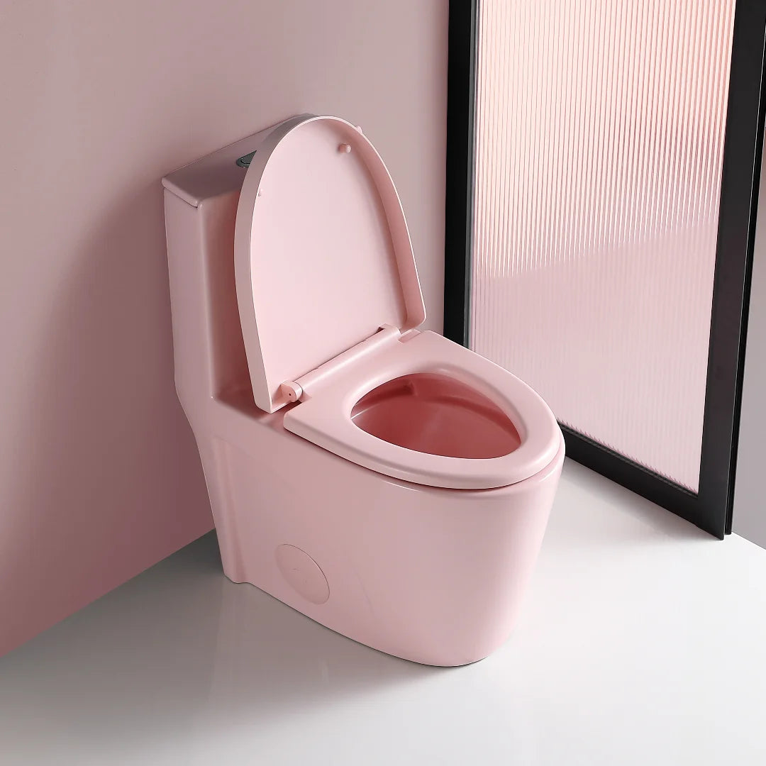 GINOST 1.1/1.60 GPF Dual-Flush One Piece Toilet, Water-Saving Elongated Comfort Height Floor Mounted, Soft Close 1000 Gram Map Flushing Score Toilet, Rose 23T01-RS