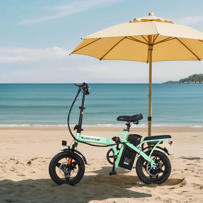 Alpha Joy Electric Bike for Adults 20", Rated 500W E-Bike 48V 13AH UL2849