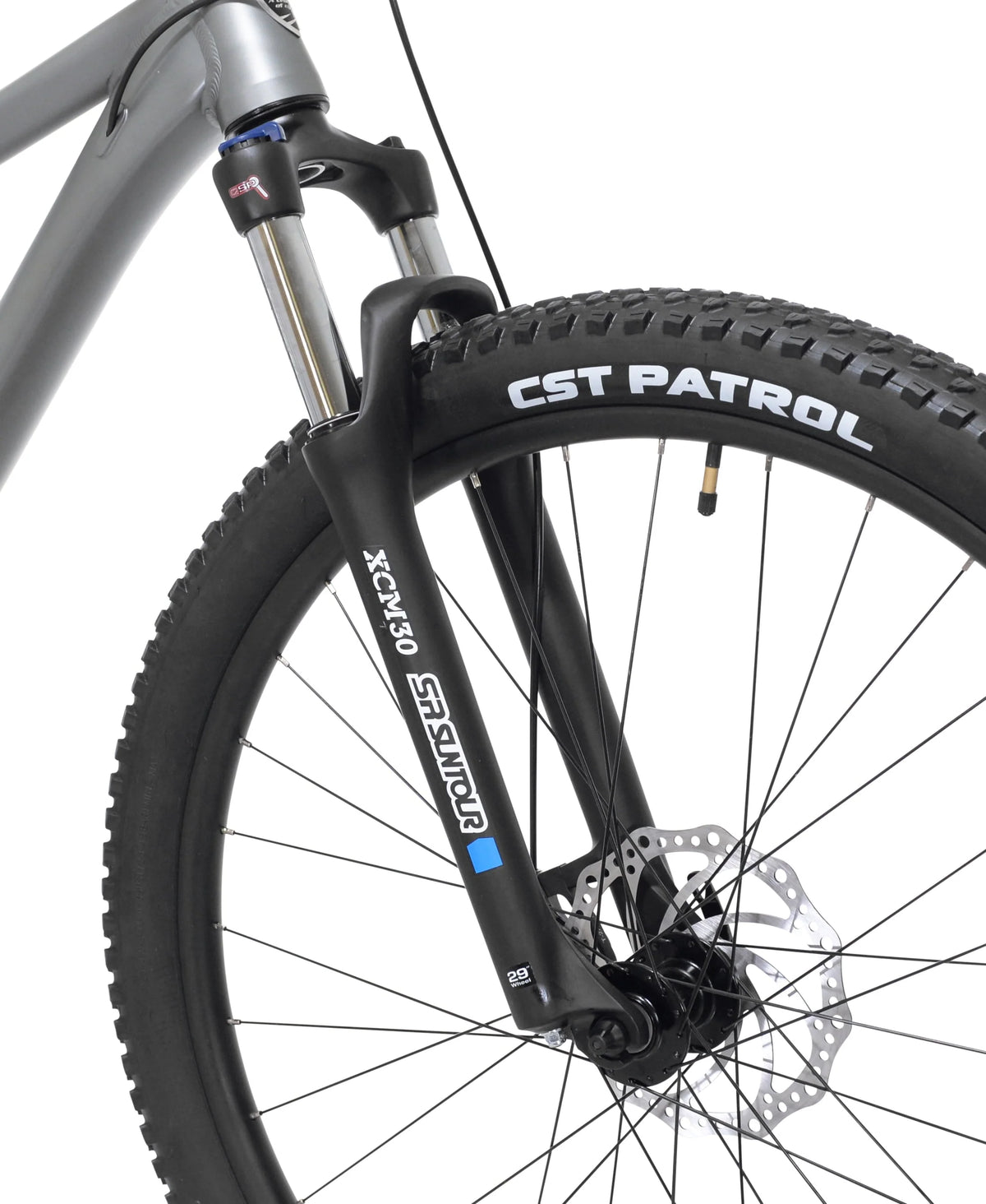 Kent Bicycles 29" Men's Trouvaille Mountain Bike Large, Black and Taupe