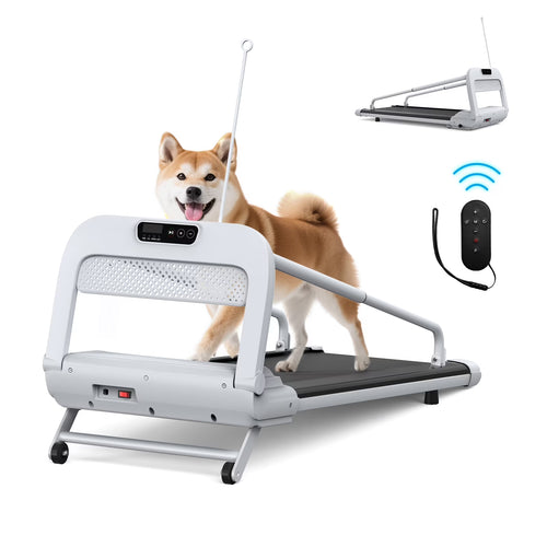 Ambifirner Dog Treadmill for Medium Small Dogs - 265lbs Weight Capacity Pet Running Machine - 2 in 1 Treadmill for Pet Fitness with Move Wheels and Remote Control