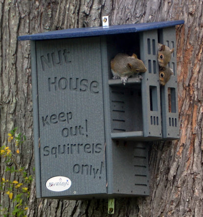 JCs Wildlife Ultimate Squirrel House Nesting Box (Blue/Gray) - A Perfect Home for Squirrels!