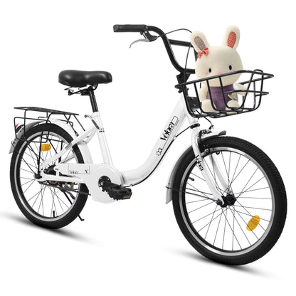 20 Inch Kids Bike for Boys Girls, 1 Speed Children Bicycle with Basket, Rear Seat, Chain Guard, Coaster Brake and V-Brake, Steel Frame Kids Bike for Ages 6-12 Years Old Birthday Gift, Purple