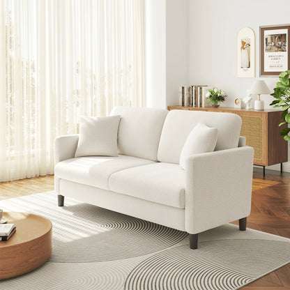 Loveseat Sofa,65" Comfy Teddy Fleece Love Seat Couch,Neche Extra Deep Seats Sofas,Tool-Free Setup Couch with 2 Pillows for Living Room,Coffee Brown