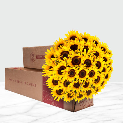 40-stem Sunflowers