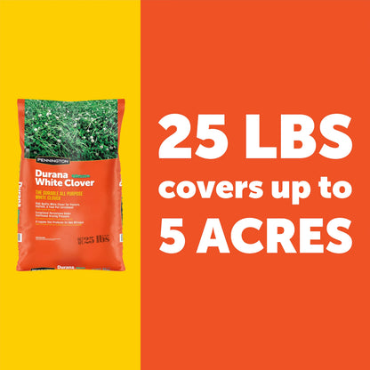 Pennington Durana Perennial White Clover Grass Seed, 25lb