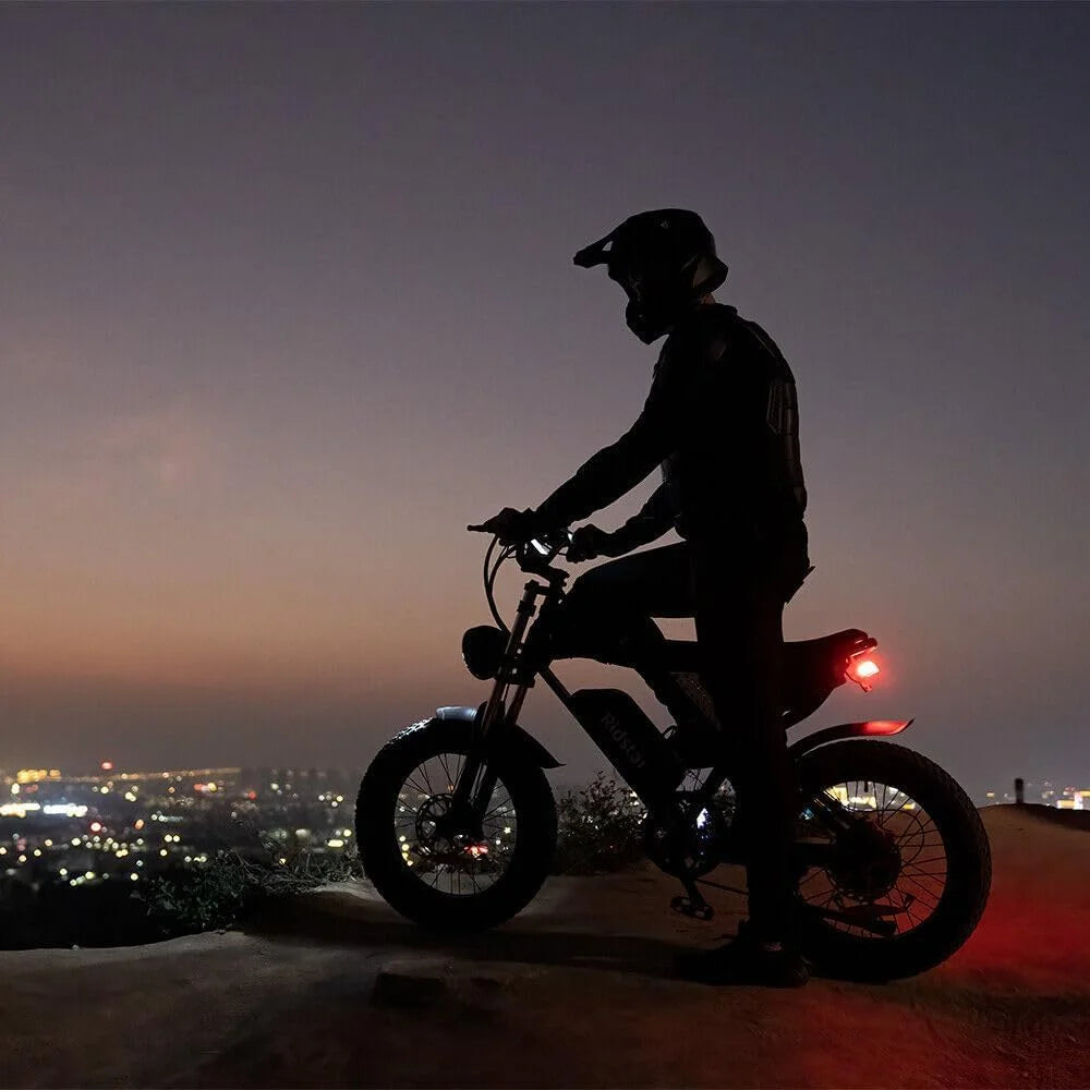 Ridstar Electric Bike for Adults Q20,1200W 30MPH,48V 15.6Ah Electric Bicycle,7 Speed Full Suspension Mountain Bike UL2849
