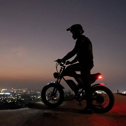 Ridstar Electric Bike for Adults Q20,1200W 30MPH,48V 15.6Ah Electric Bicycle,7 Speed Full Suspension Mountain Bike UL2849