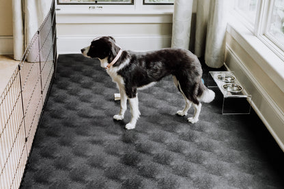 G-Floor 7.5' x 17' Vinyl Levant Pet Friendly Carpet Protector for Dogs & Cats - Midnight Black