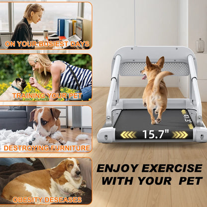 Ambifirner Dog Treadmill for Medium Small Dogs - 265lbs Weight Capacity Pet Running Machine - 2 in 1 Treadmill for Pet Fitness with Move Wheels and Remote Control