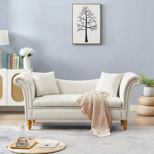 Lemacte Beige Modern Velvet Loveseat Sofa 2 Seater Sofa Upholstered Sofa Couch for Living Room, Bedroom, Studio,Home Office, Hotel