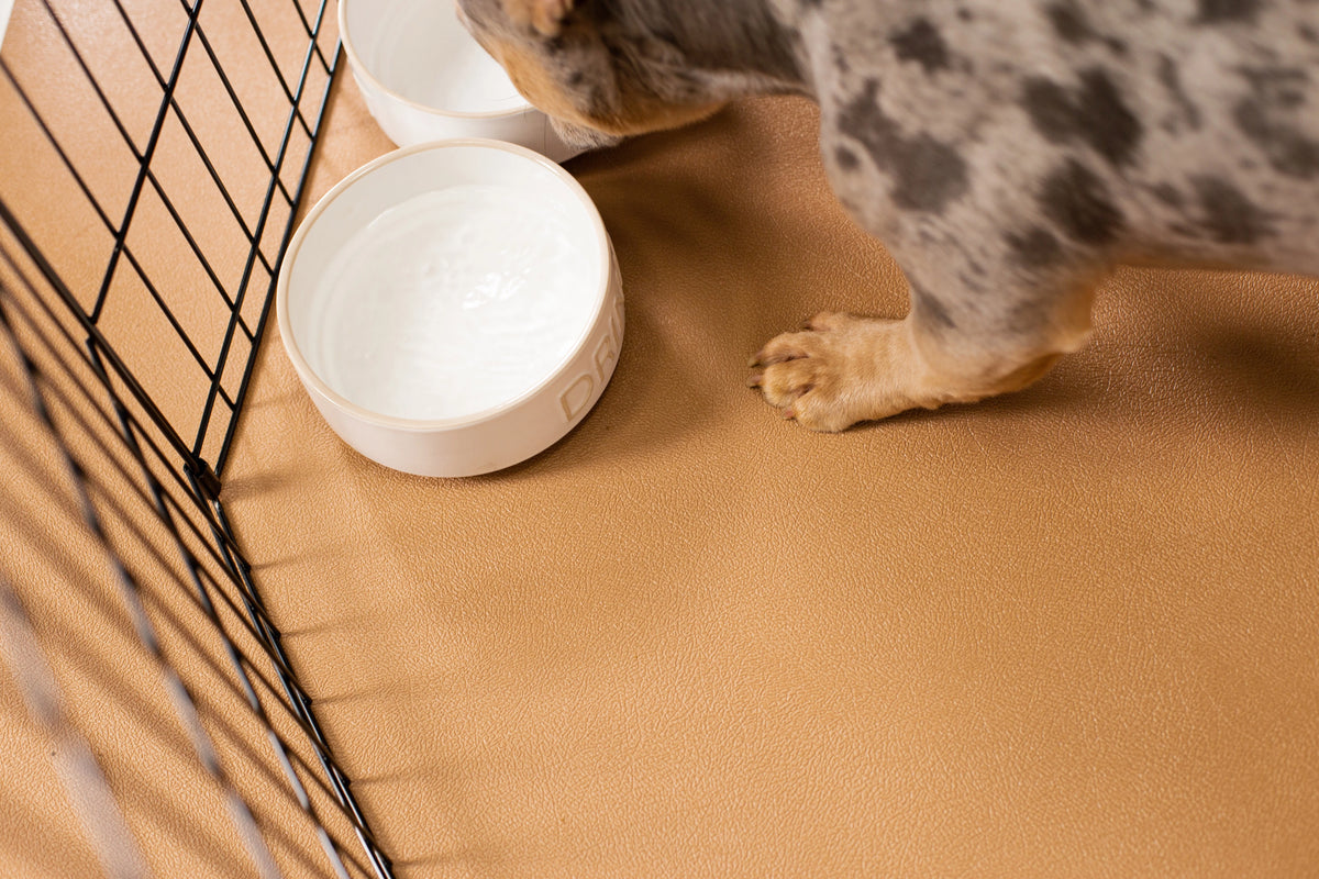 G-Floor 7.5' x 17' Vinyl Levant Pet Friendly Carpet Protector for Dogs & Cats - Midnight Black