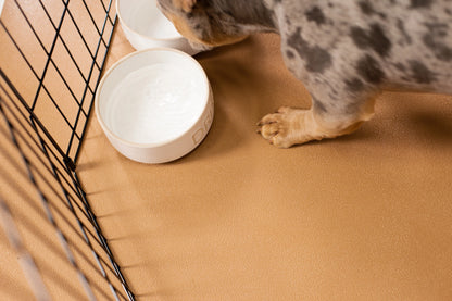 G-Floor 7.5' x 17' Vinyl Levant Pet Friendly Carpet Protector for Dogs & Cats - Midnight Black