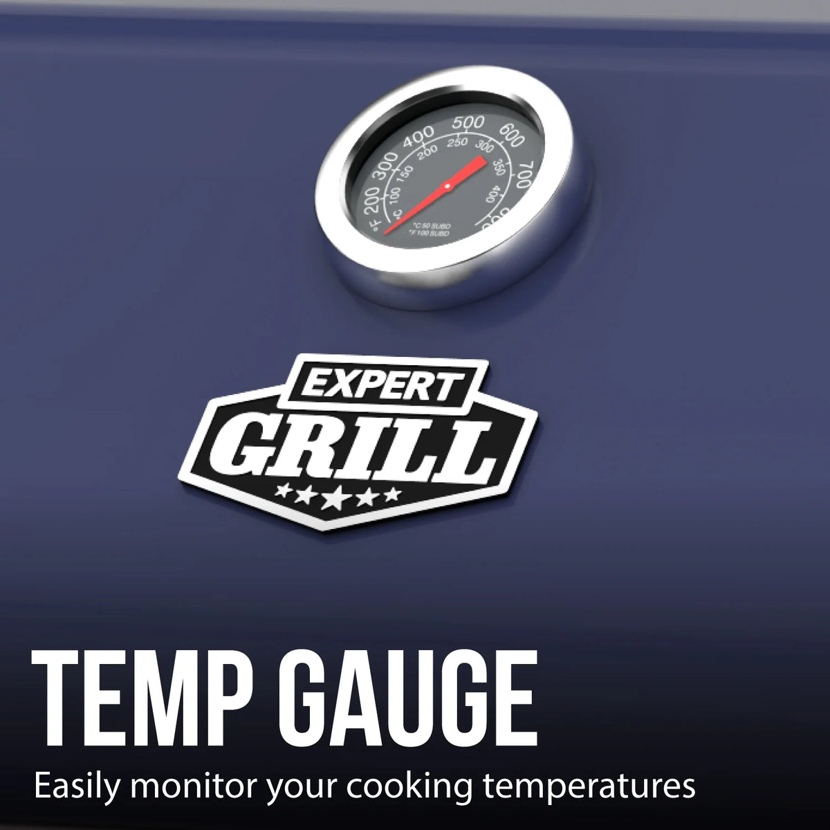 Expert Grill 4 Burner with Side Burner Propane Gas Grill in Blue