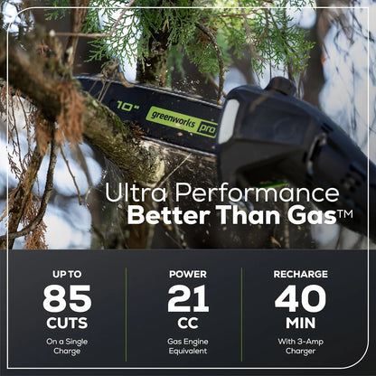 Greenworks 60V 10" Brushless Cordless Pole Saw, 14.5 Ft. Reach, 2.0Ah Battery & Charger