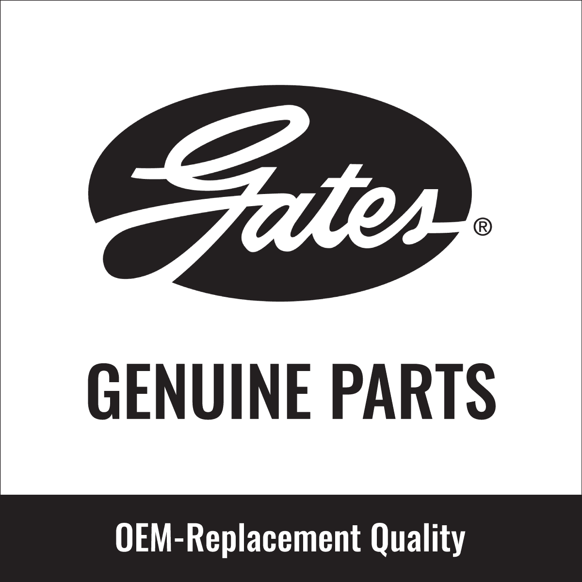 Gates PowerGrip Timing Belt Kit w Water Pump compatible with Ford Fiesta 1.6L L4 2014-2019