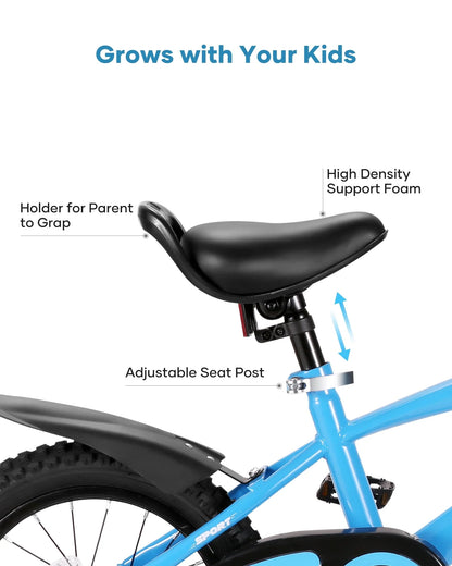 Naipo 14" Kids Bike Girls and Boys Blue Bike for Age 3-6 Years Old