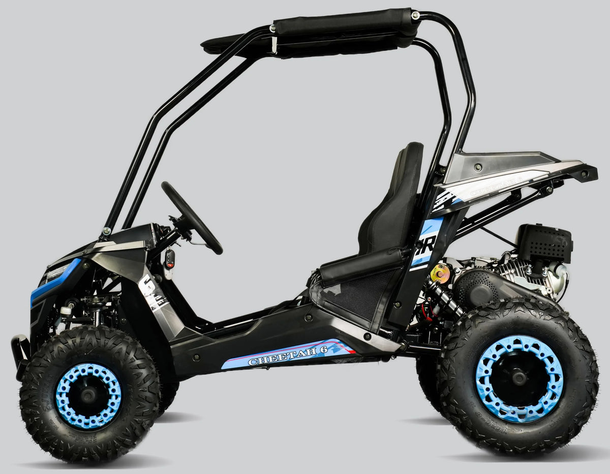 TrailMaster Cheetah 6 Youth Go-Kart - 163cc 5.5HP Engine, 4-Point Safety Belt, Remote Kill, Speed Governor, Suitable for Kids 6-12. with Pre-Assembled Version Now! (Pre-Assembled, Blue)