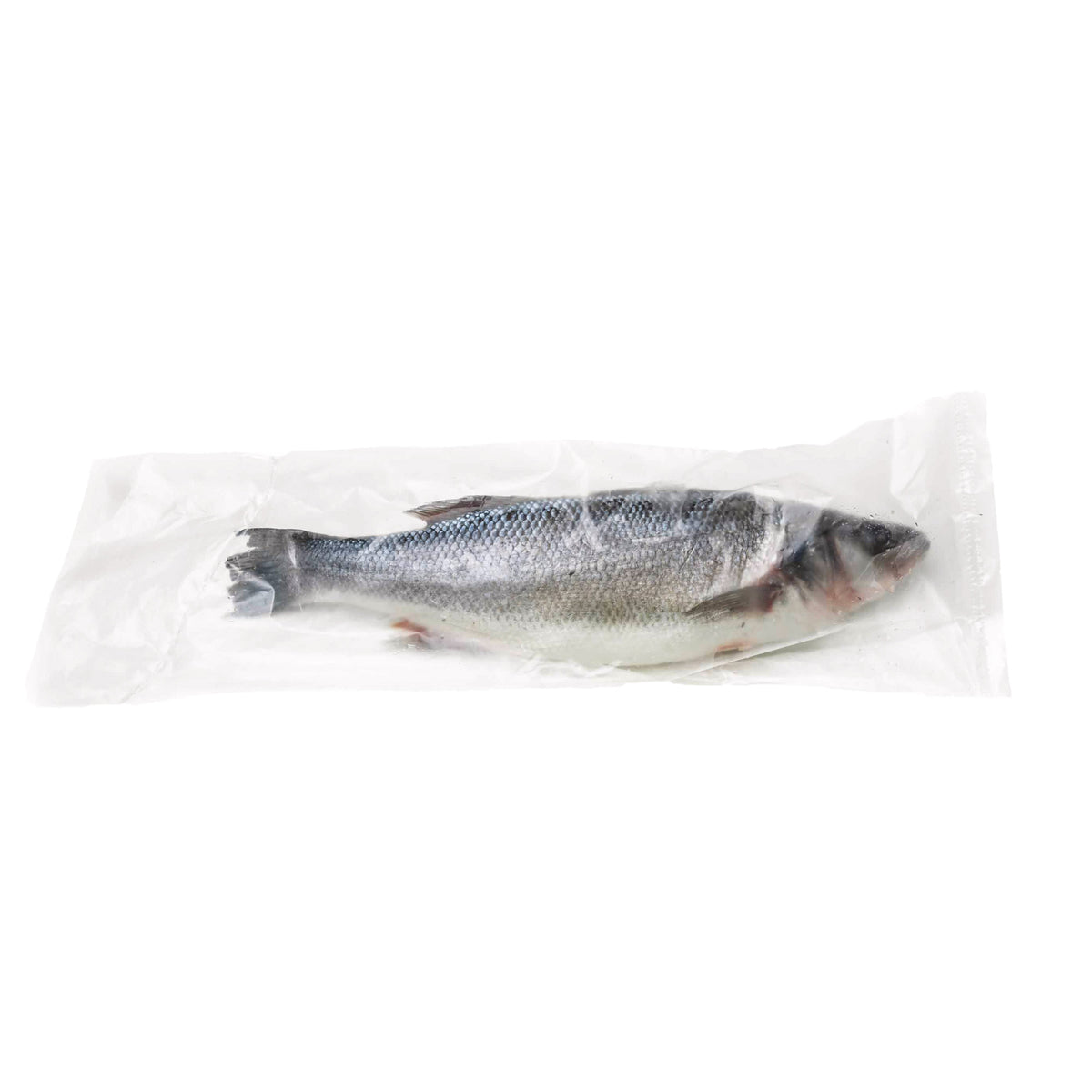 Whole Head On, Cleaned Branzino Fish (12-18 Oz. Per Fish), Min 7 Count, 10 Lbs. Total