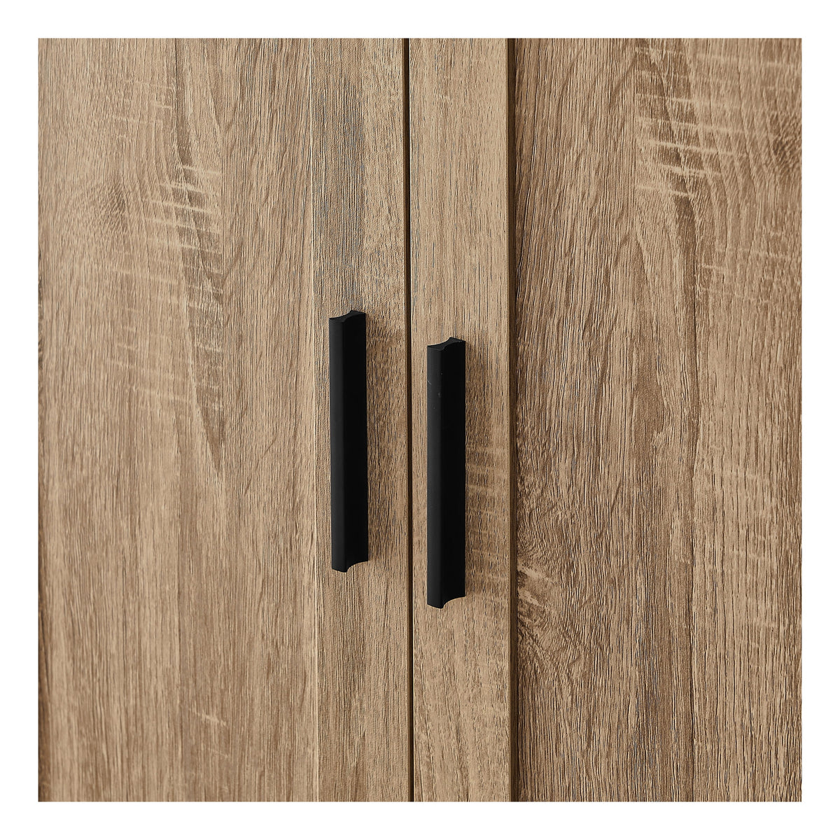 Urli Modern Double Door Storage Cabinet with Adjustable Shelves, Black
