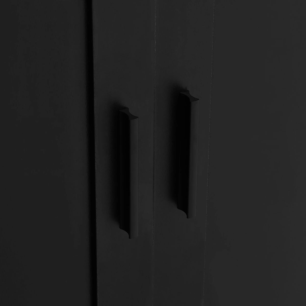 Urli Modern Double Door Storage Cabinet with Adjustable Shelves, Black