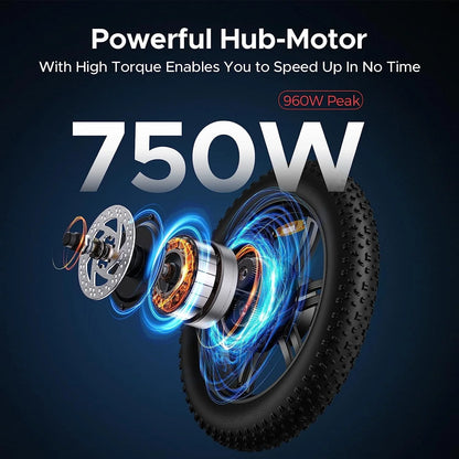 Engwe L20 Electric Bike for Adults,750W Motor 19.9MPH Fat Tire Mountain Bike with 48V 13AH Battery