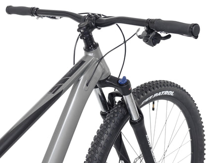 Kent Bicycles 29" Men's Trouvaille Mountain Bike Large, Black and Taupe