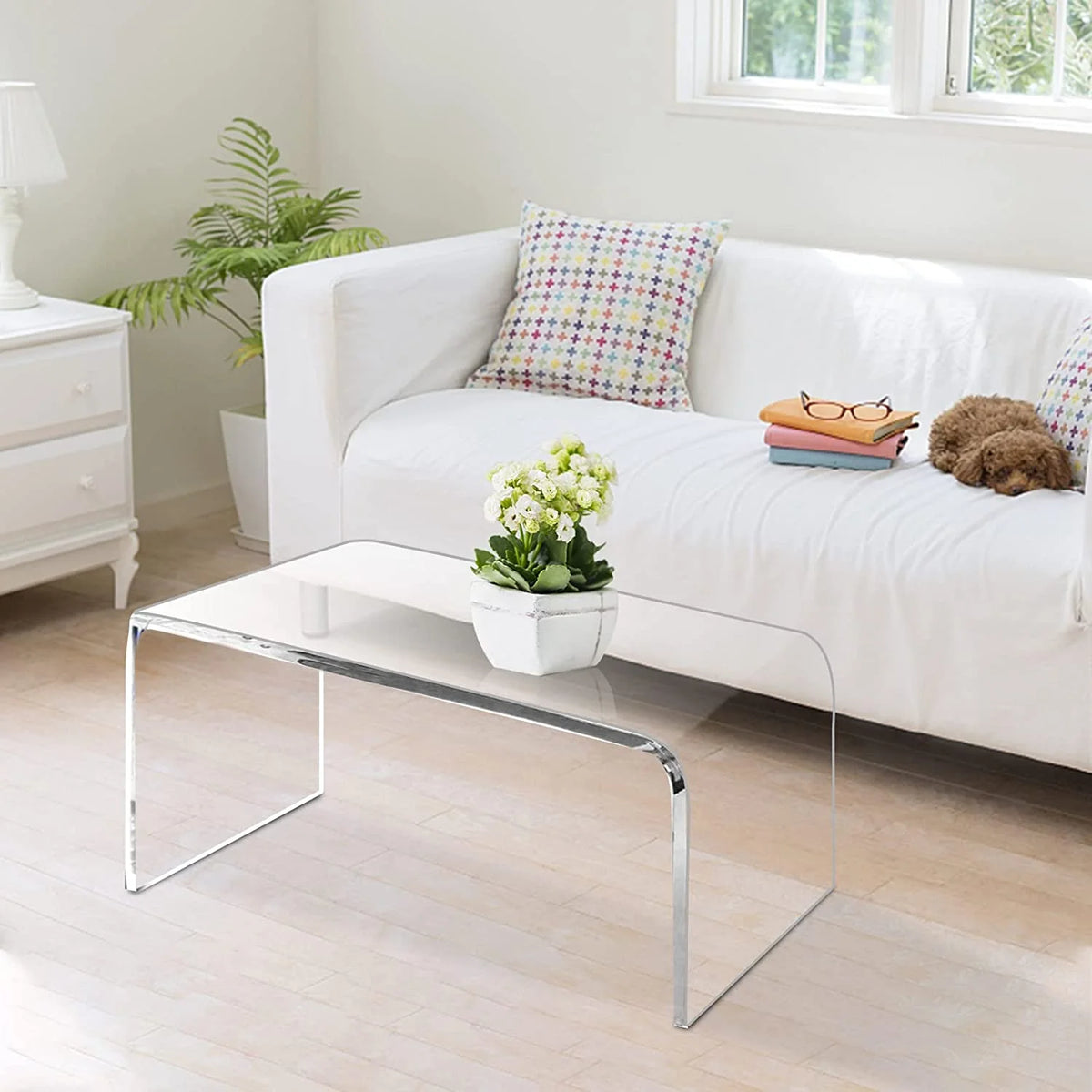 Ageszoe Coffee Table with Storage Shelf ,Acrylic Modern Clear End Table,Kid's Table for Livingroom, 32"L x 16"W x 16"H"