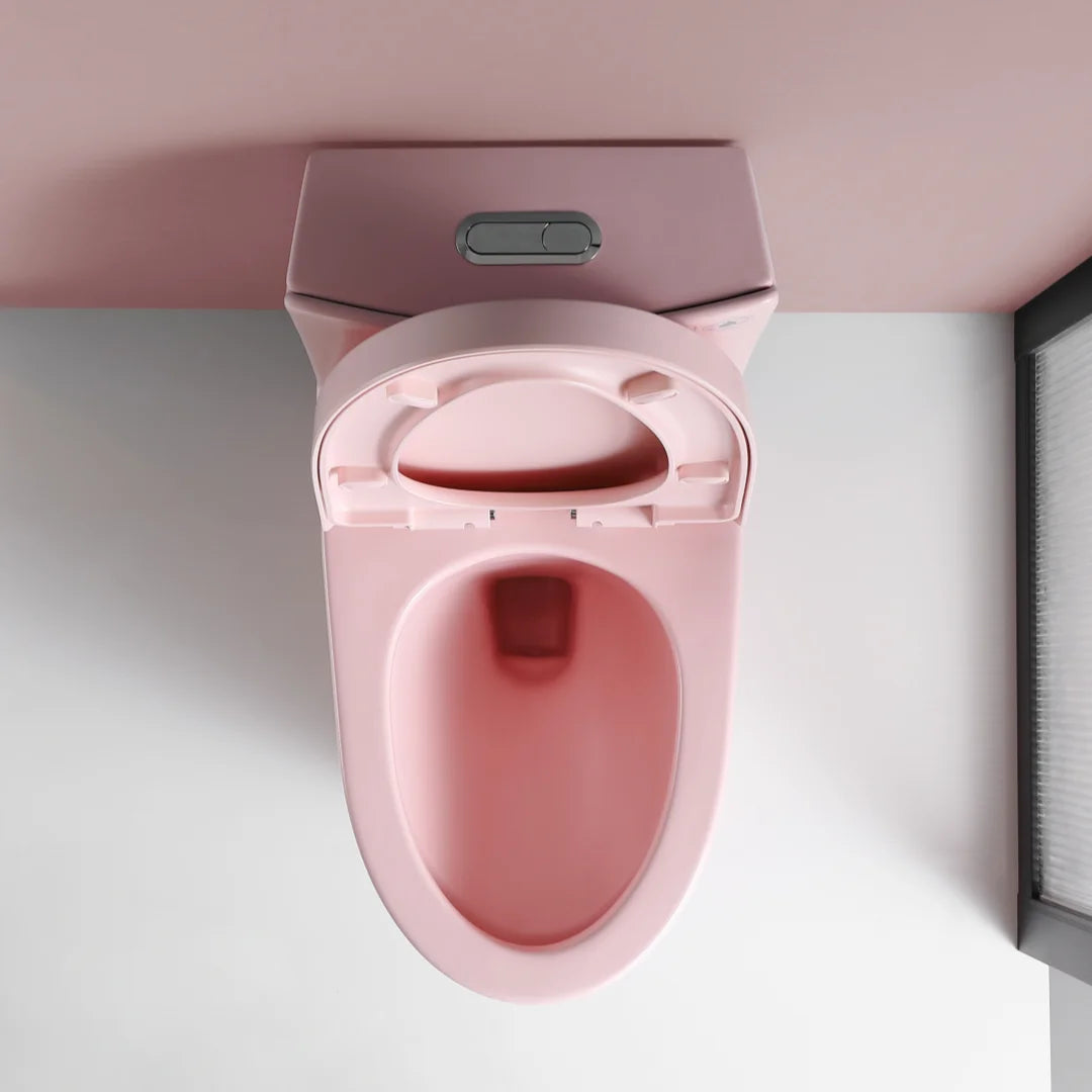 GINOST 1.1/1.60 GPF Dual-Flush One Piece Toilet, Water-Saving Elongated Comfort Height Floor Mounted, Soft Close 1000 Gram Map Flushing Score Toilet, Rose 23T01-RS