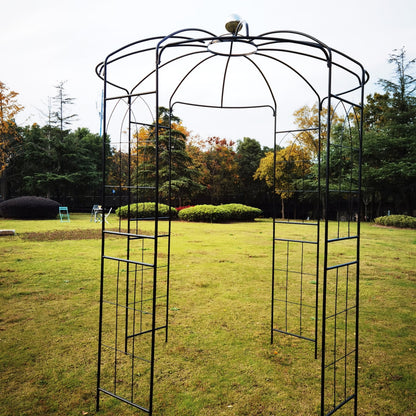 French Birdcage Gazebo with Metal Arch Trellis for Wedding Photography & Garden Decor, Sturdy Galvanized Steel, Black