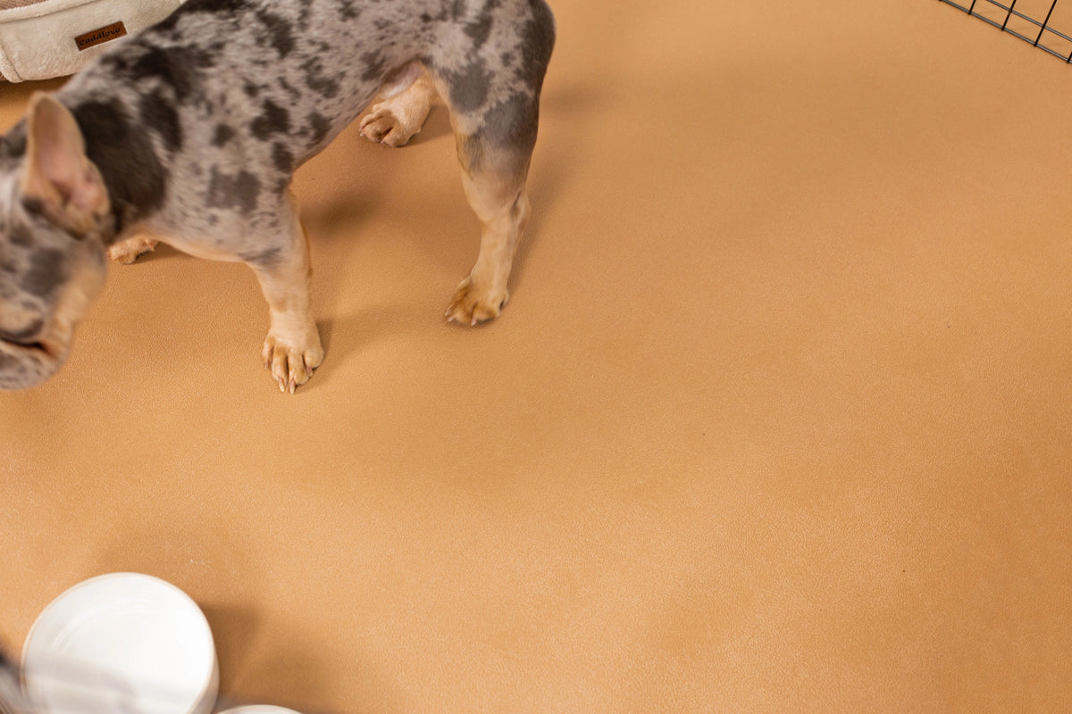 G-Floor 7.5' x 17' Vinyl Levant Pet Friendly Carpet Protector for Dogs & Cats - Midnight Black