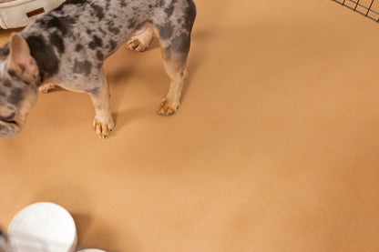 G-Floor 7.5' x 17' Vinyl Levant Pet Friendly Carpet Protector for Dogs & Cats - Midnight Black