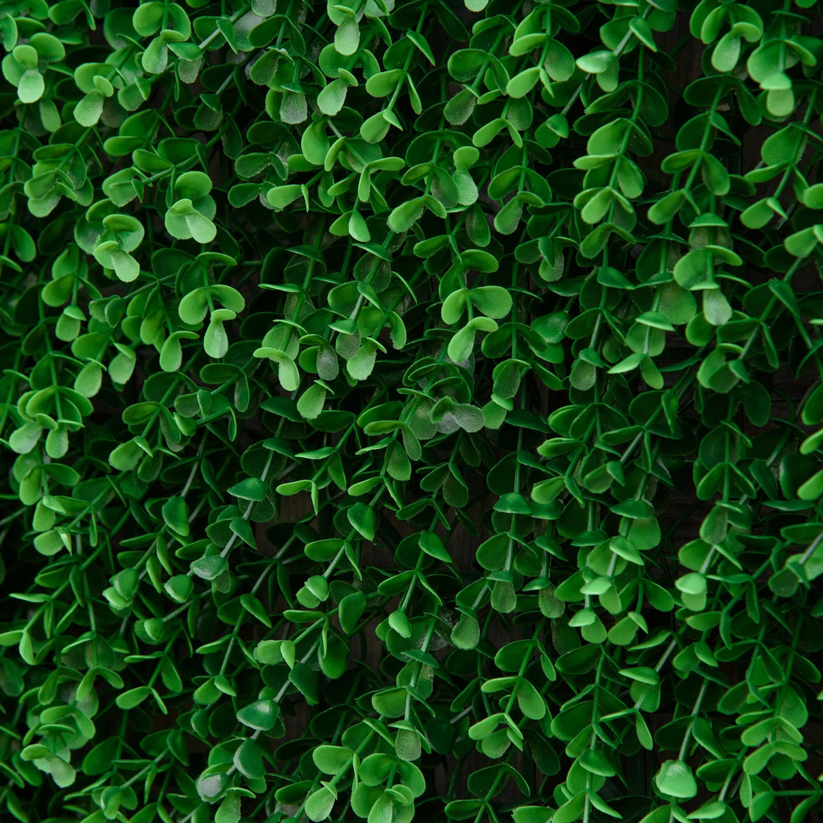 DUOSONG Outsunny Grass Wall Panels, 20" X 20" Artificial Grass Wall Decor,Greenery Backdrop Panels Wall For Outdoor, Indoor, Garden, Fence, Backyard, Fresh Green Green POLYETHYLENE Garden & Outdoor