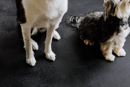 G-Floor 7.5' x 17' Vinyl Levant Pet Friendly Carpet Protector for Dogs & Cats - Midnight Black