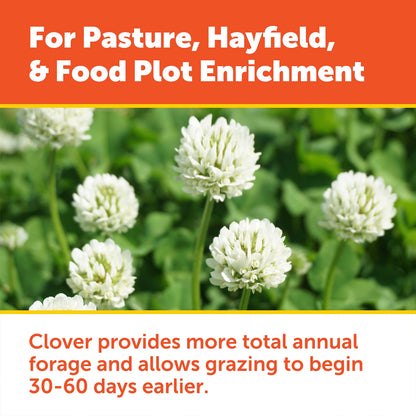 Pennington Durana Perennial White Clover Grass Seed, 25lb