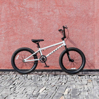 cubsala 20 in Freestyle BMX Kids Bike for Age 6-14 Years Old Boys Girls , Black & Green