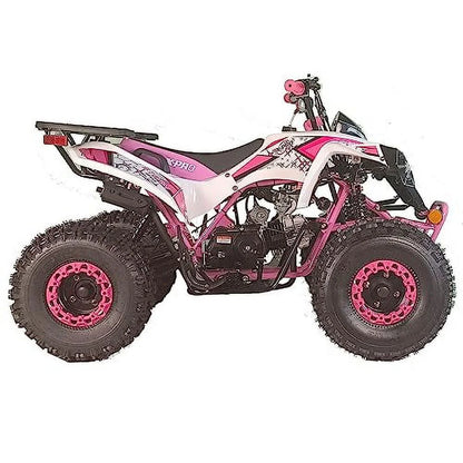 X-Pro Brand New 125cc Gas ATV, Automatic Transmission w/Reverse Electric Start Big 19"/18" Tires