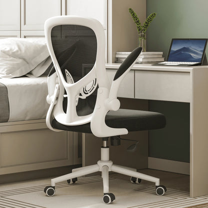 Hbada Office Chair, Ergonomic Desk Chair, Computer Mesh Chair with Lumbar Support and Flip-up Arms, Gray